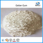 크림 백색 높은 아실 분해 Gellan 껌 분말 음식 급료 식량 생산 CAS 71010-52-1